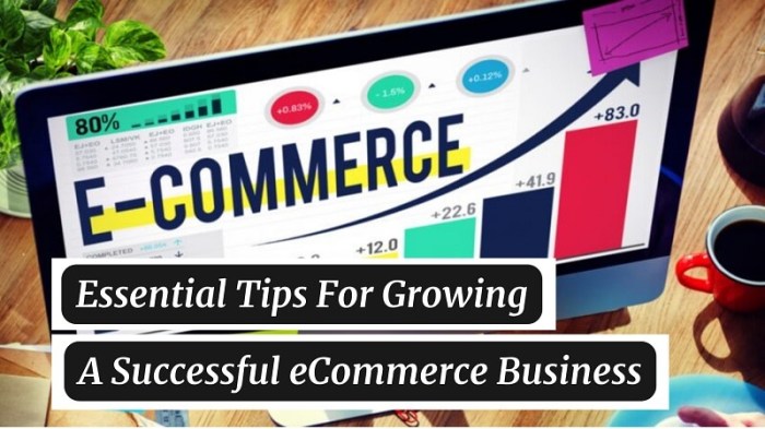 E-commerce Growth Tips